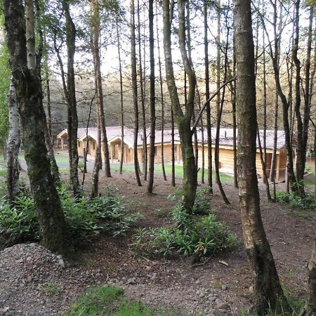 Wyldwood Lodge ชีเดิล ภายนอก รูปภาพ