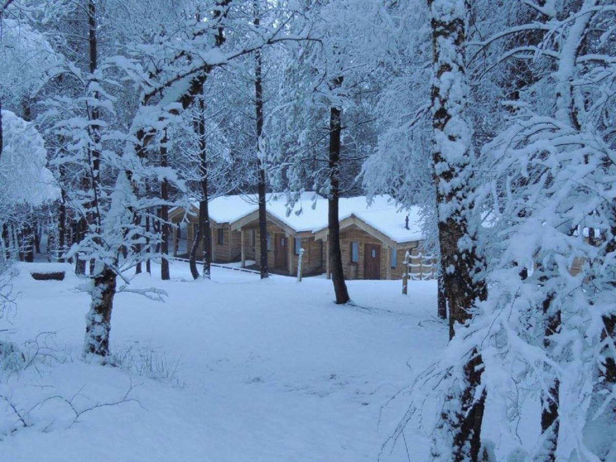 Wyldwood Lodge ชีเดิล ภายนอก รูปภาพ