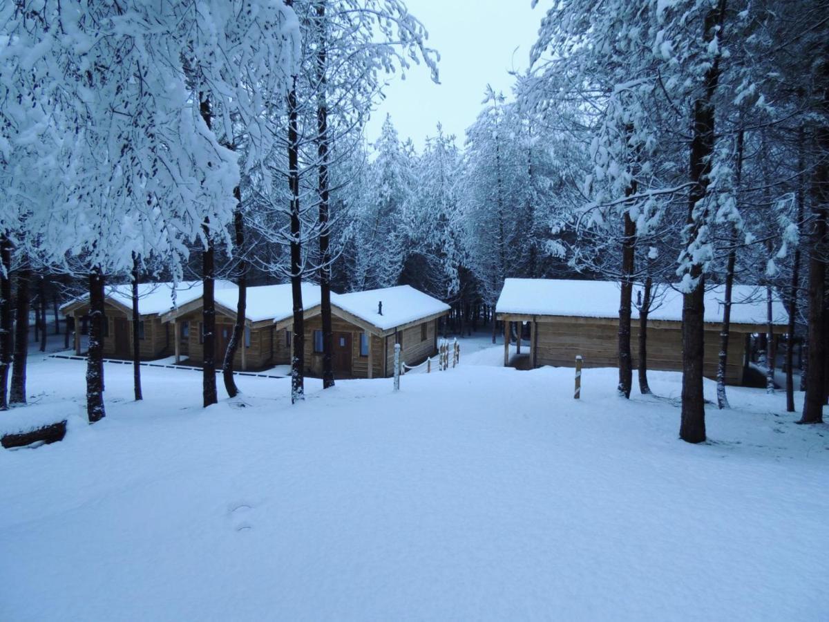 Wyldwood Lodge ชีเดิล ภายนอก รูปภาพ