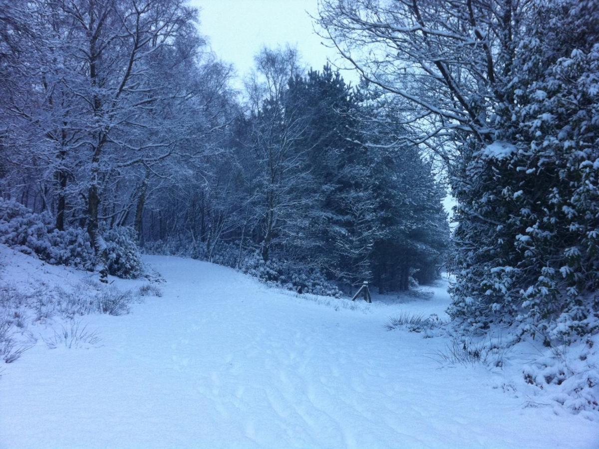 Wyldwood Lodge ชีเดิล ภายนอก รูปภาพ